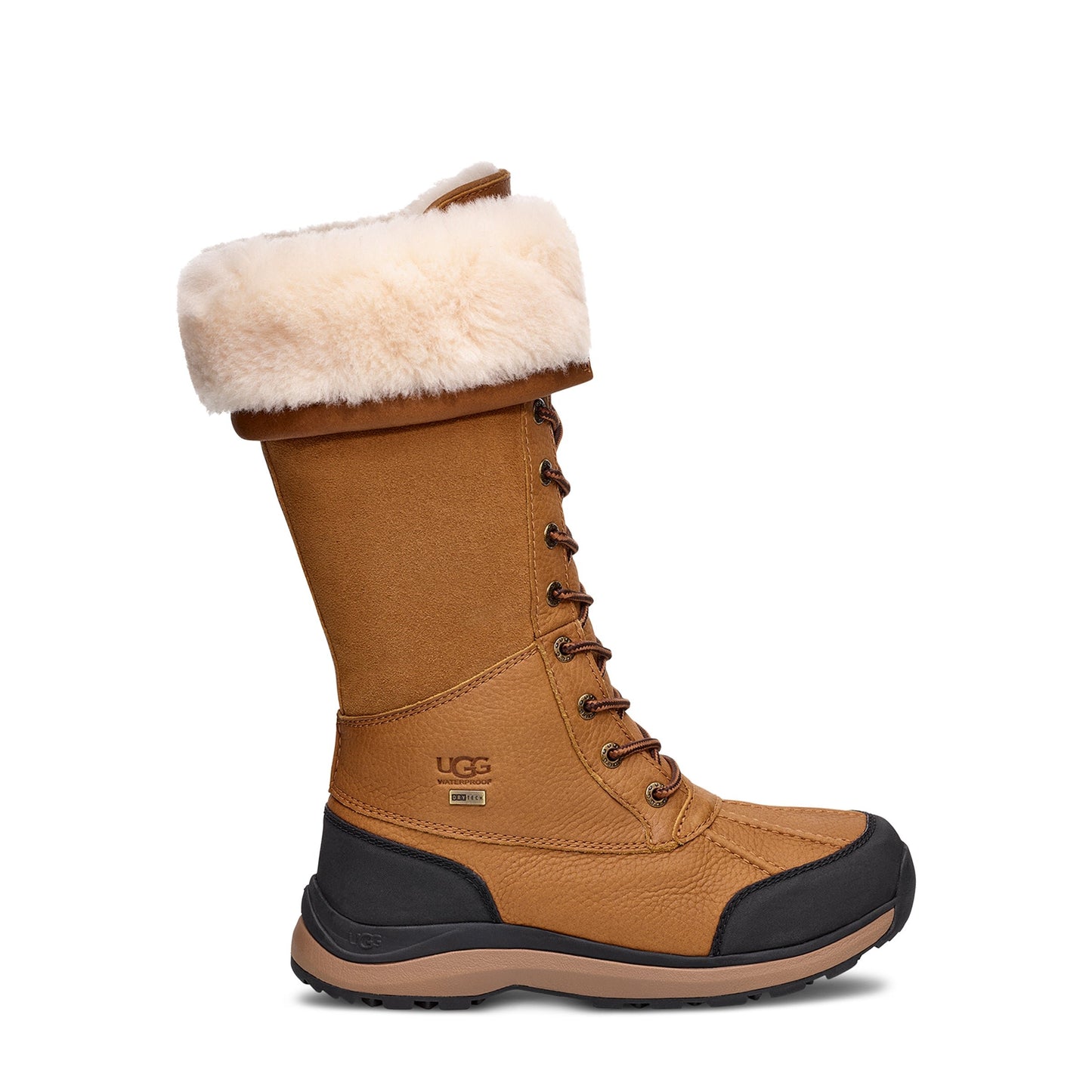 Women's Adirondack Tall Boot