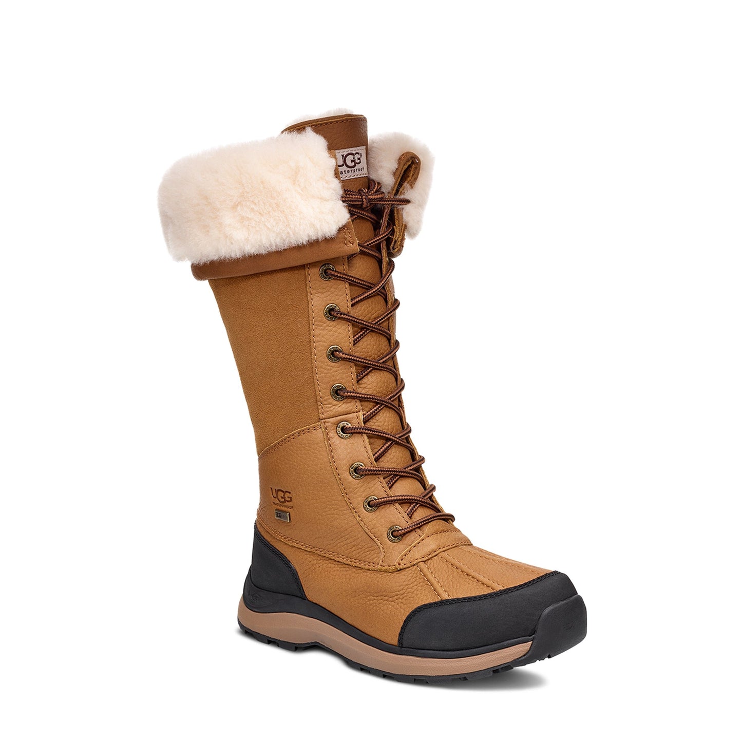 Women's Adirondack Tall Boot