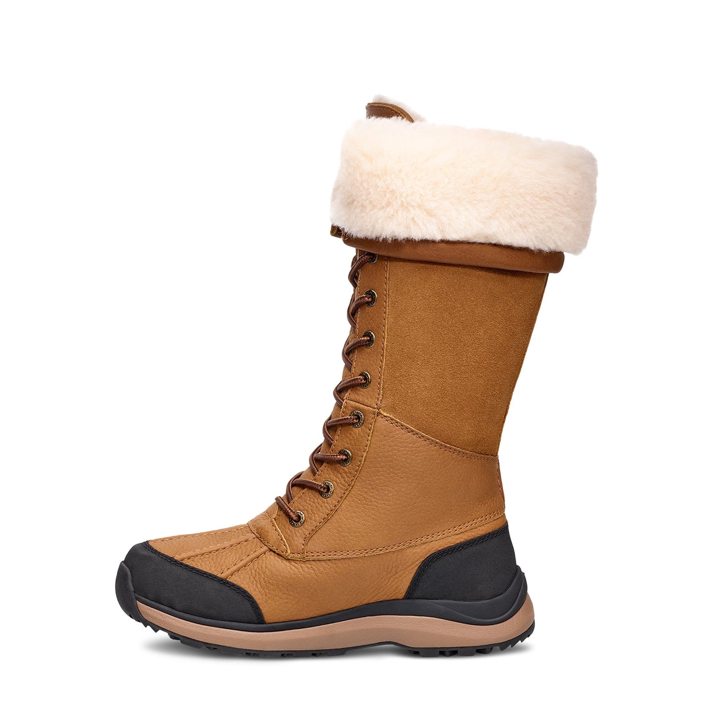 Women's Adirondack Tall Boot