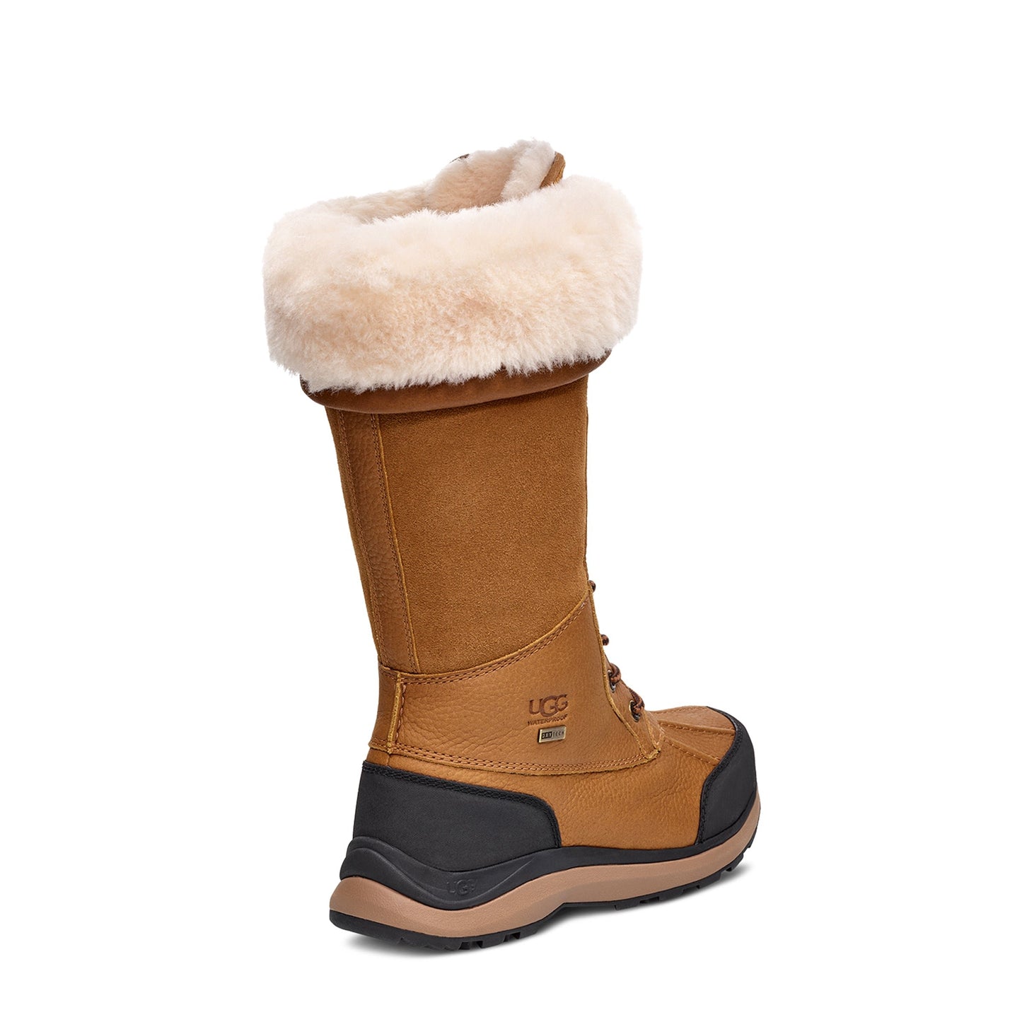 Women's Adirondack Tall Boot