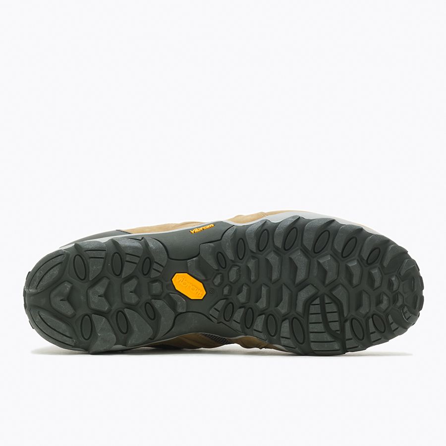 M Cham Stretch 8