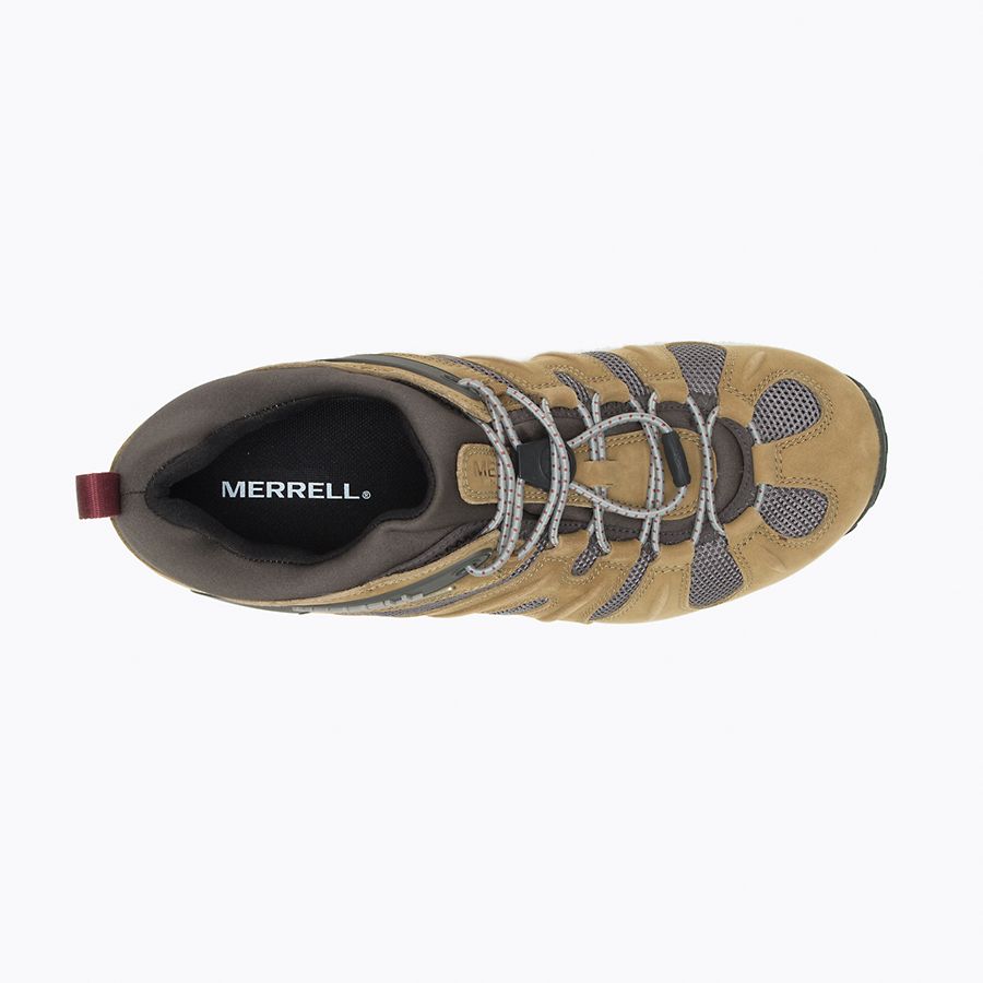 M Cham Stretch 8