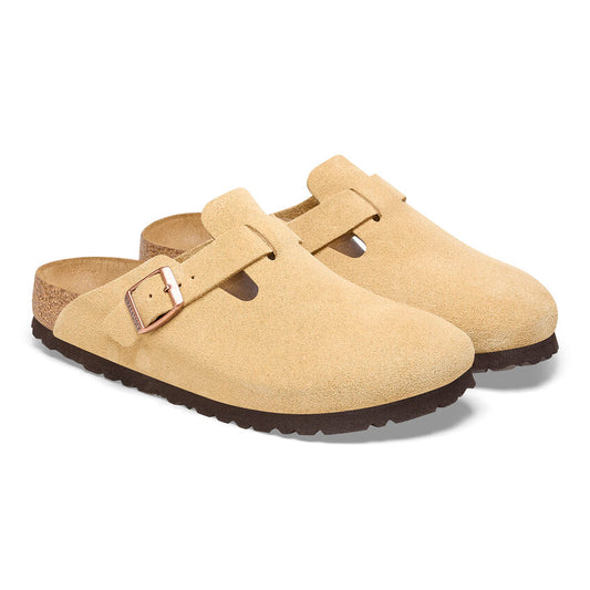 Women's Boston Suede in Latte Cream