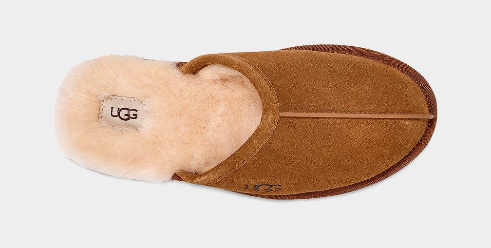 M Scuff Slipper