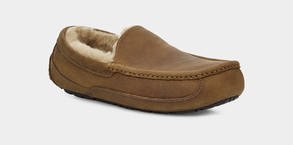 M Ascot Matte Leather