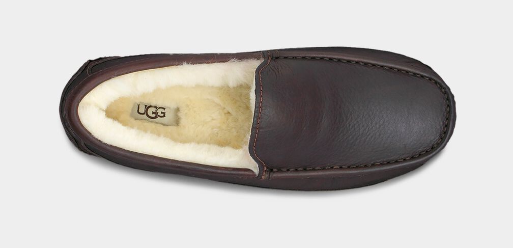 M Ascot Leather Slipper