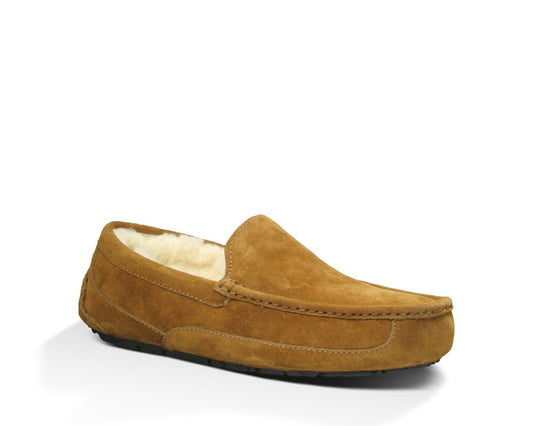 M Ascot Slipper
